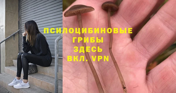 мескалин Алексеевка