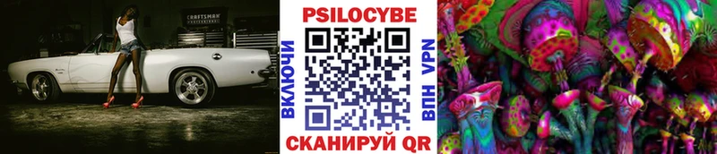 Псилоцибиновые грибы Magic Shrooms  купить   Пугачёв 